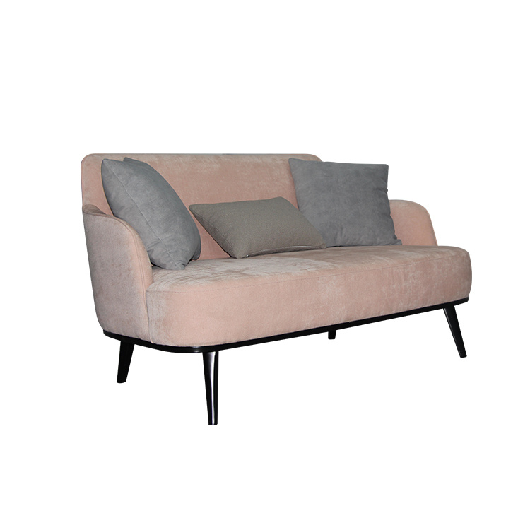 Small Apartment Living Room Fabric 2 Seater Sofa